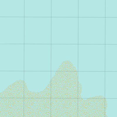 3361-N PEARL SHOALS & ROEBUCK BAY