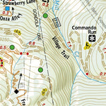 602 Vail Local Trails (Berrypicker Inset)