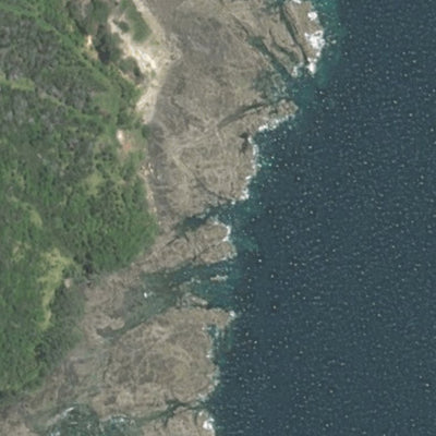 Motuora Island