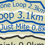 Michigan Tech Trails (Summer)