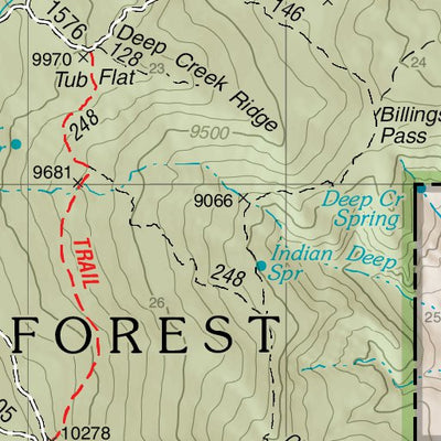 Fishlake National Forest, Flat Top, UT 63