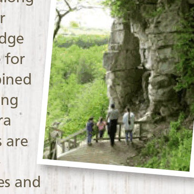 Rattlesnake Point Trail Guide