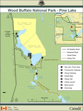 Wood Buffalo National Park - Pine Lake