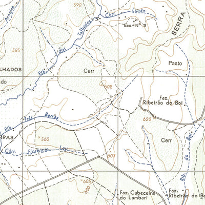 CAMPINA VERDE