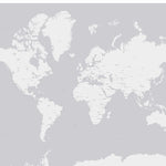 World Map (light gray)