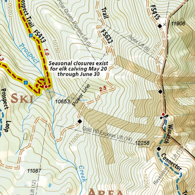 603 Telluride Local Trails (Ridge & Prospect Inset)