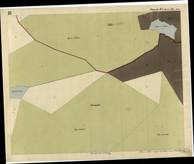 PINZOLO Mappa originale d'impianto del Catasto austro-ungarico. Scala 1:2880