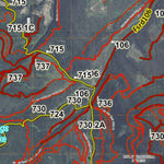 Colorado Unit 171 Turkey, Goose, and Pheasant Concentration Map