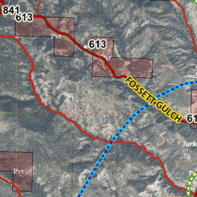 Colorado Unit 771 Turkey, Goose, and Pheasant Concentration Map