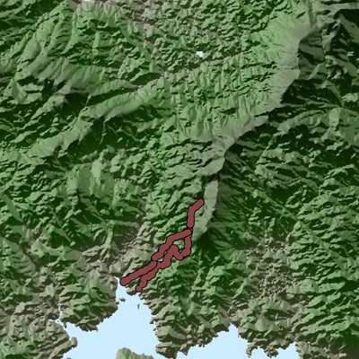 Stewart Island Elevation Map