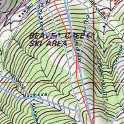 2020 Beaver Creek Ski Area Trails on Topographic Map