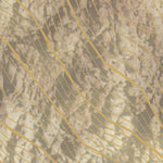 Calico Overlook Trail