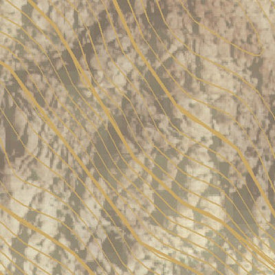 Calico Overlook Trail