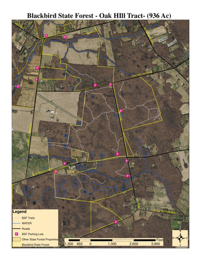 Delaware Forest Serv, Blackbird State Forest, Oak Hill Tract