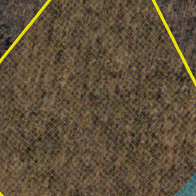 Delaware Forest Serv, Blackbird State Forest, Wright Tract