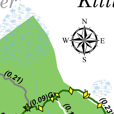 Cockaponset State Forest - Weber