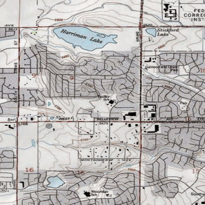 2020 Colorado Big Game Elk/Deer Topo Hunt Habitat Range GMU 391