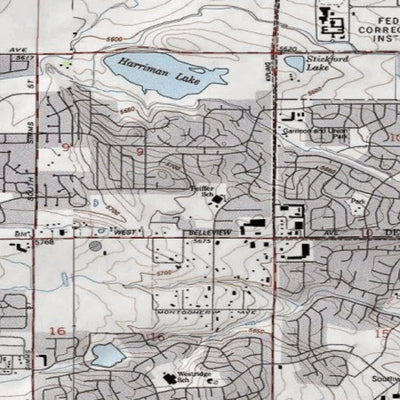 2020 Colorado Big Game Elk/Deer Topo Hunt Public Lands GMU 391
