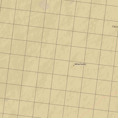 Getlost Map 5539 TALLARINGA Topographic Map V14d 1:75,000
