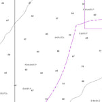 Katiki Point to Nugget Point