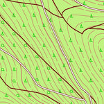 Steinbach-Hallenberg [5229-SW]
