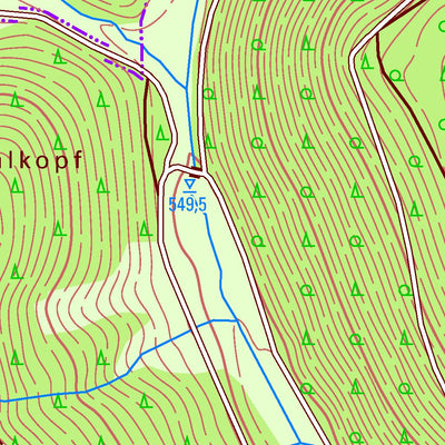 Frauenwald [5431-NW]
