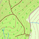 Neustadt am Rennsteig [5431-NO]