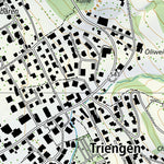 Triengen, 1:10,000