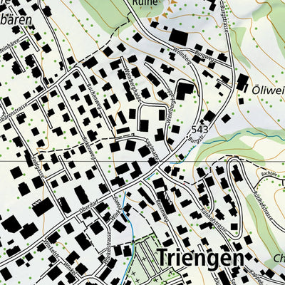 Triengen, 1:10,000