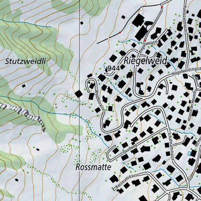 Einsiedeln, 1:10,000