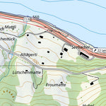 Thunersee, 1:10,000