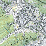 Schattenhalb, 1:10,000