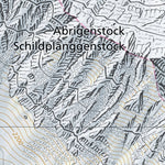 Gurtnellen 1, 1:10,000