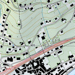 Puidoux, 1:10,000