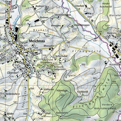 Büren an der Aare, 1:25,000