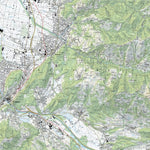 Nesslau, 1:25,000