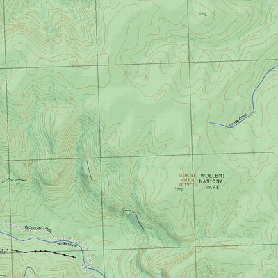 Getlost Map 8931-1S Mount Morgan NSW Topographic Map V15 1:25,000