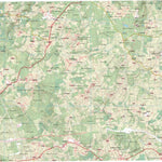 O Pino (0095-2)