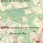 O Pino (0095-2)