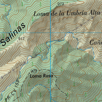 Salinas (0845-4)