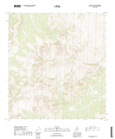 Iditarod C-3 NE, AK (2019, 25000-Scale) Preview 1