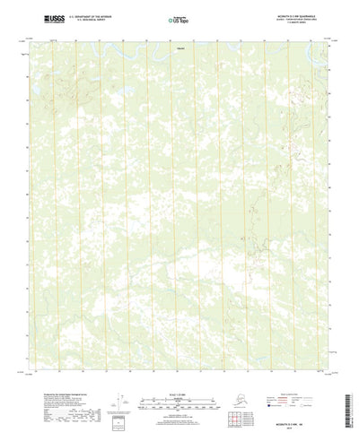 McGrath D-3 NW, AK (2019, 25000-Scale) Preview 1