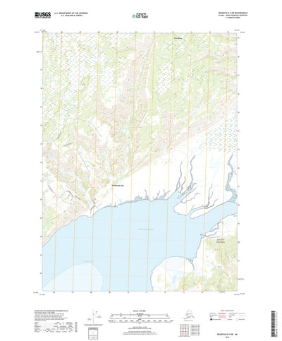 Seldovia D-3 SW, AK (2018, 25000-Scale) Preview 1