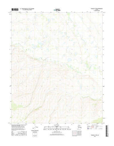 Tanana C-5 SW, AK (2016, 25000-Scale) Preview 1