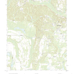 Forester, AL (2020, 24000-Scale) Preview 1