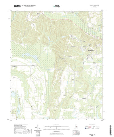 Forester, AL (2020, 24000-Scale) Preview 1
