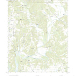 Salem, AL (2020, 24000-Scale) Preview 1