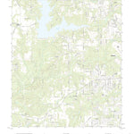 Tanner Williams, AL (2020, 24000-Scale) Preview 1