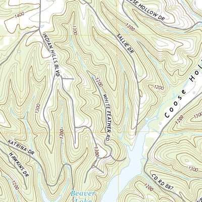 Pea Ridge, AR (2020, 24000-Scale) Preview 3