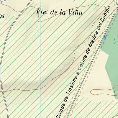 Madrigal de las Altas Torres (0454-2)